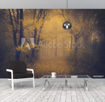 Picture of Mysterious foggy forest with a fairytale look